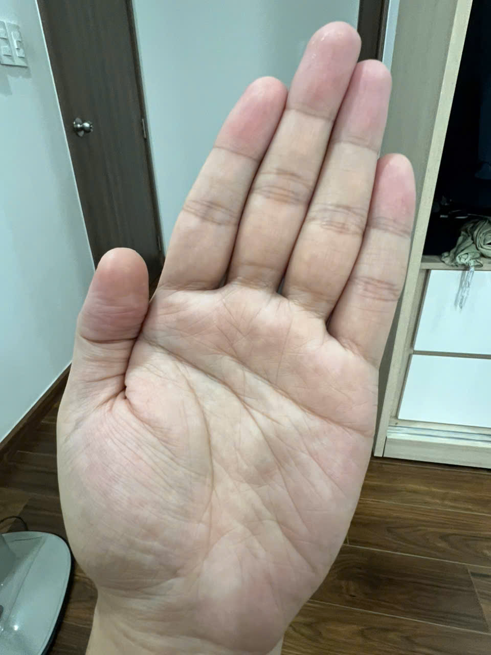 e56a0e488224357a6c35.jpg