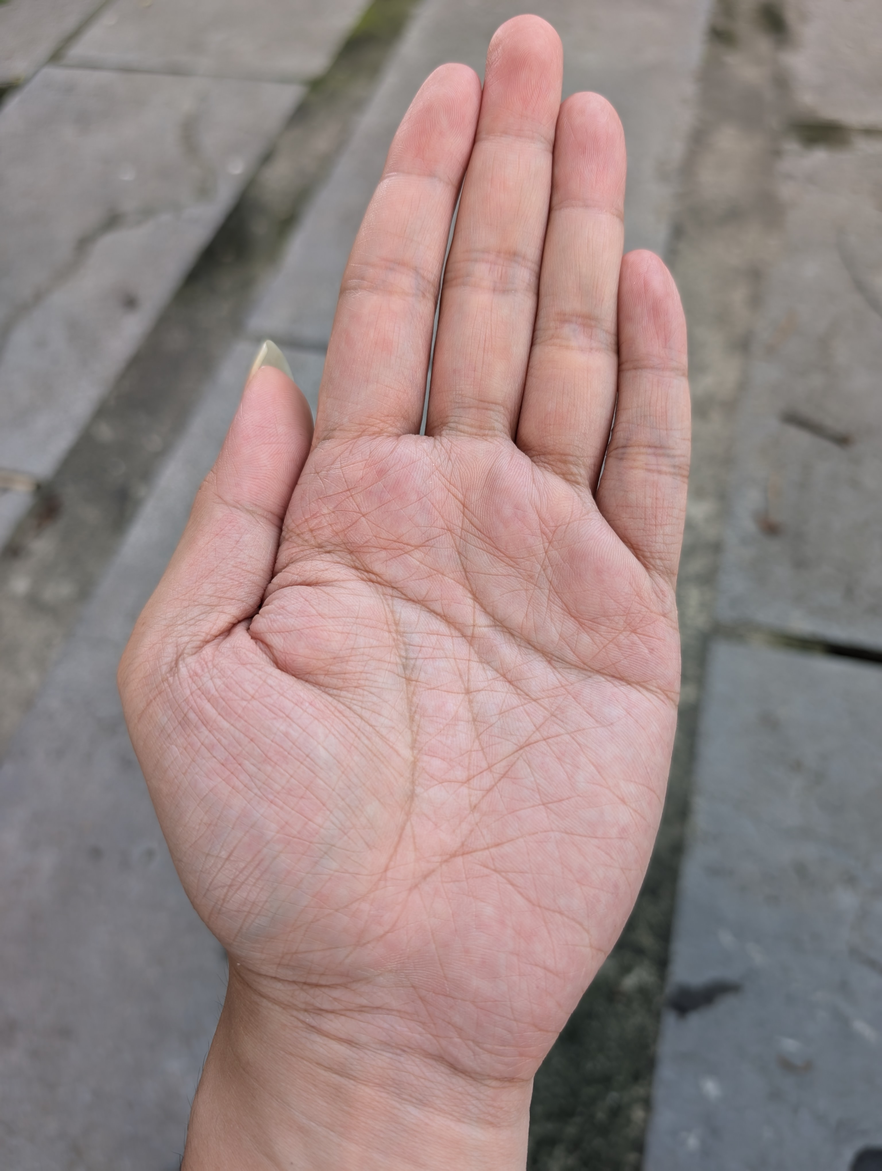 1000002877.jpg