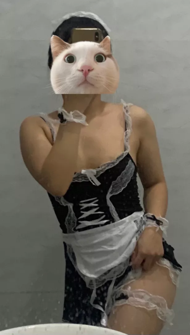 1750336130823.png