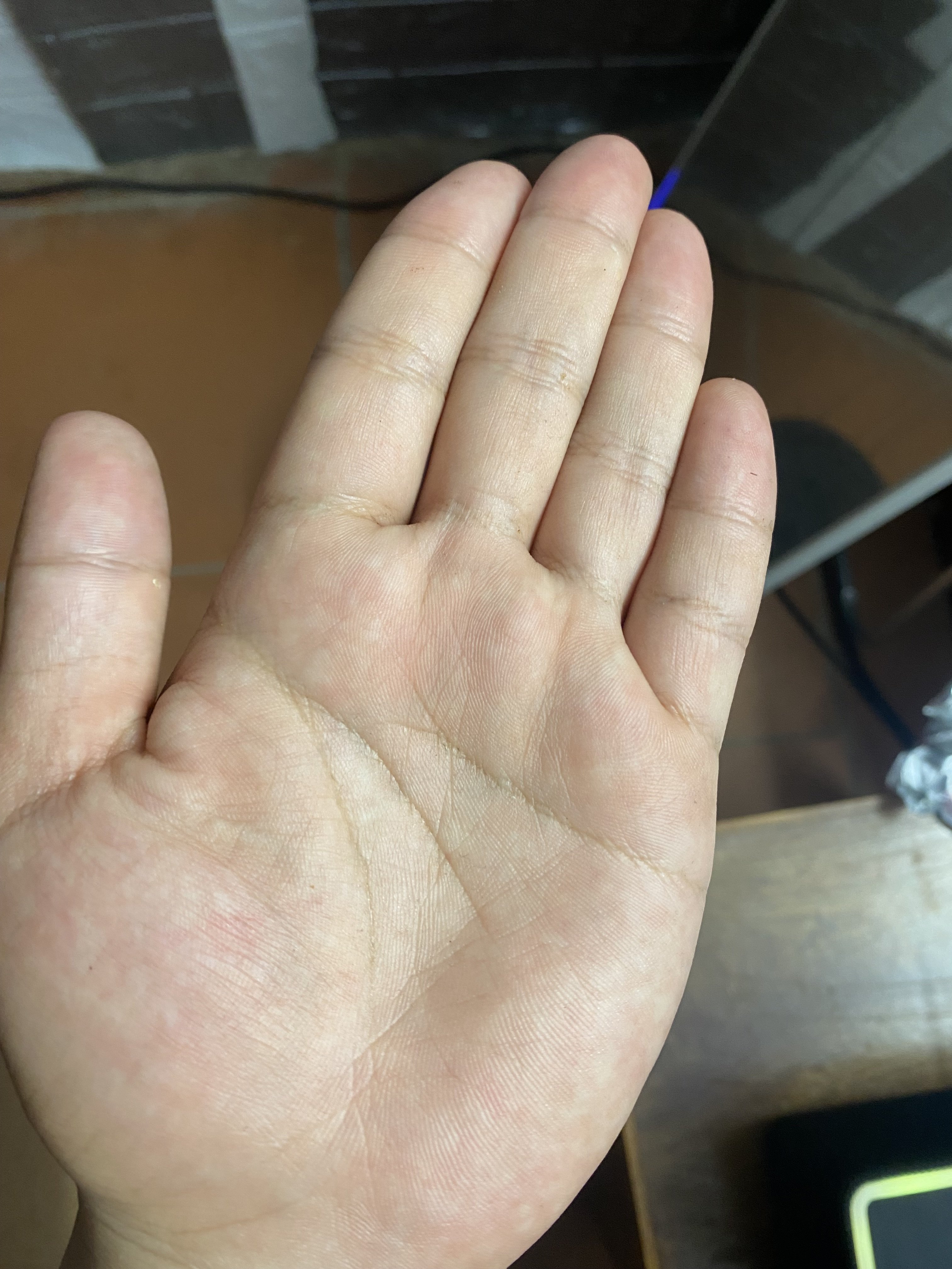 IMG_0697.jpeg