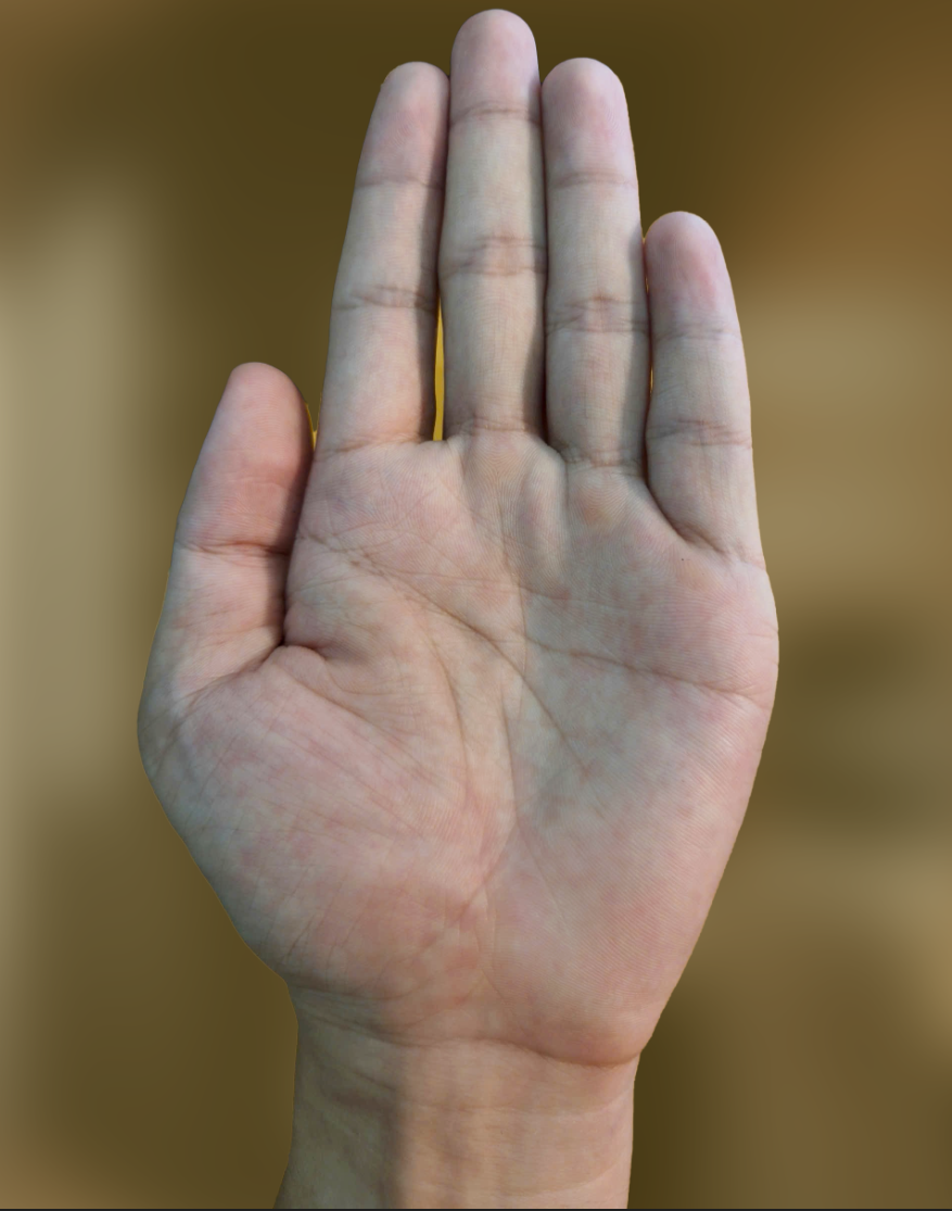 1752486159584.png