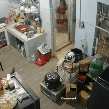 20250728_185218.gif