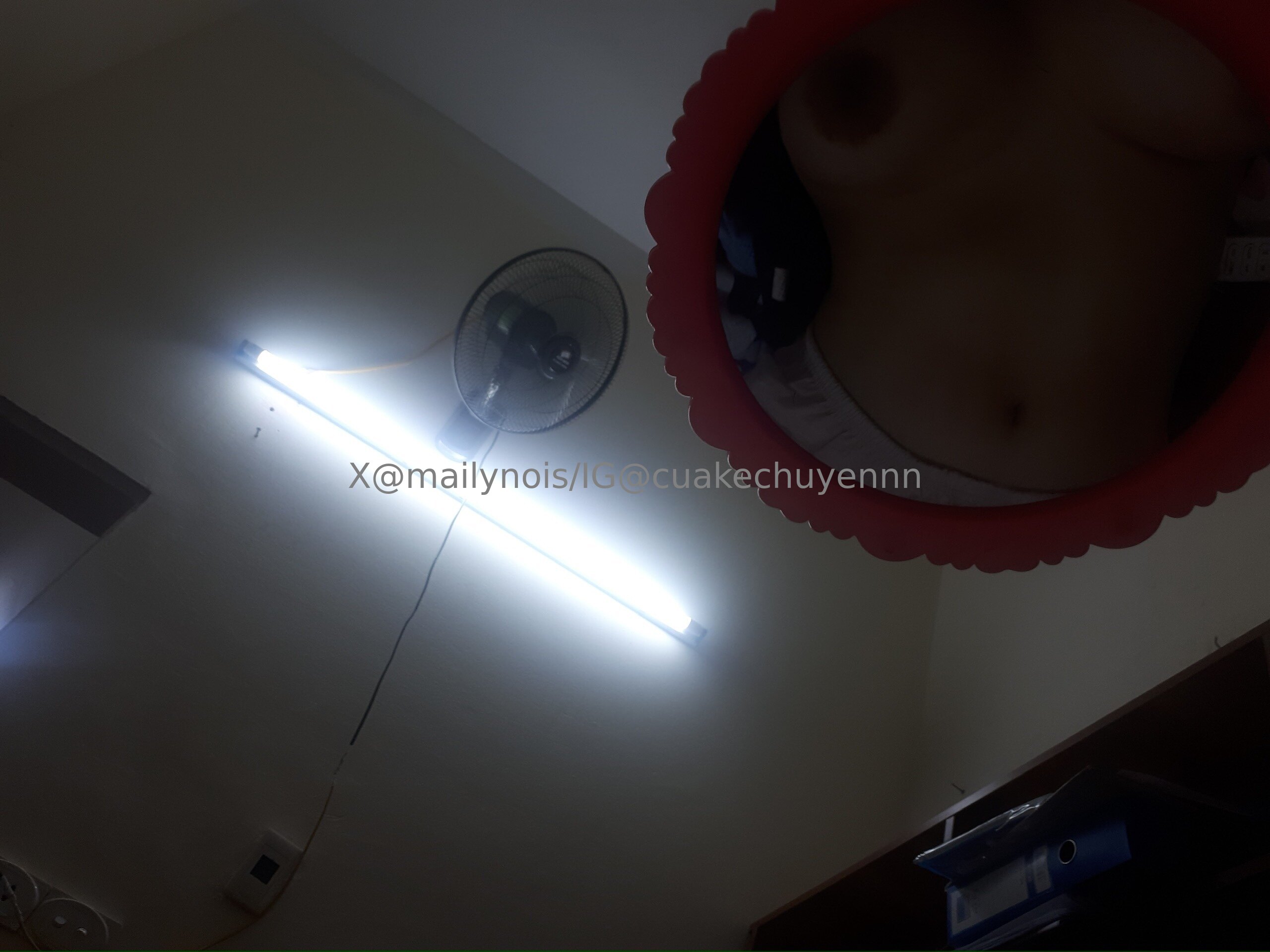 IMG_7773.jpeg