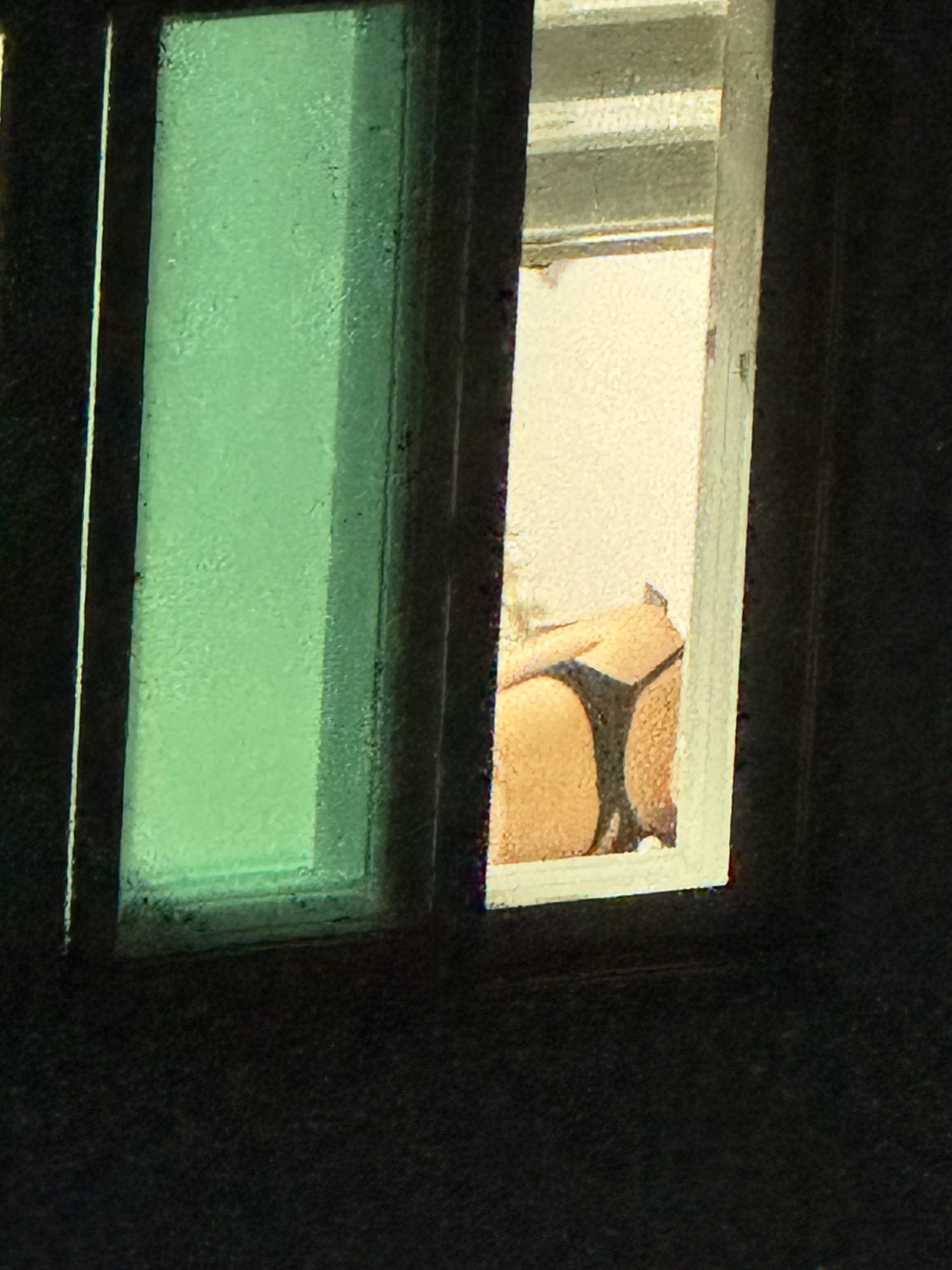 IMG_4044.jpeg