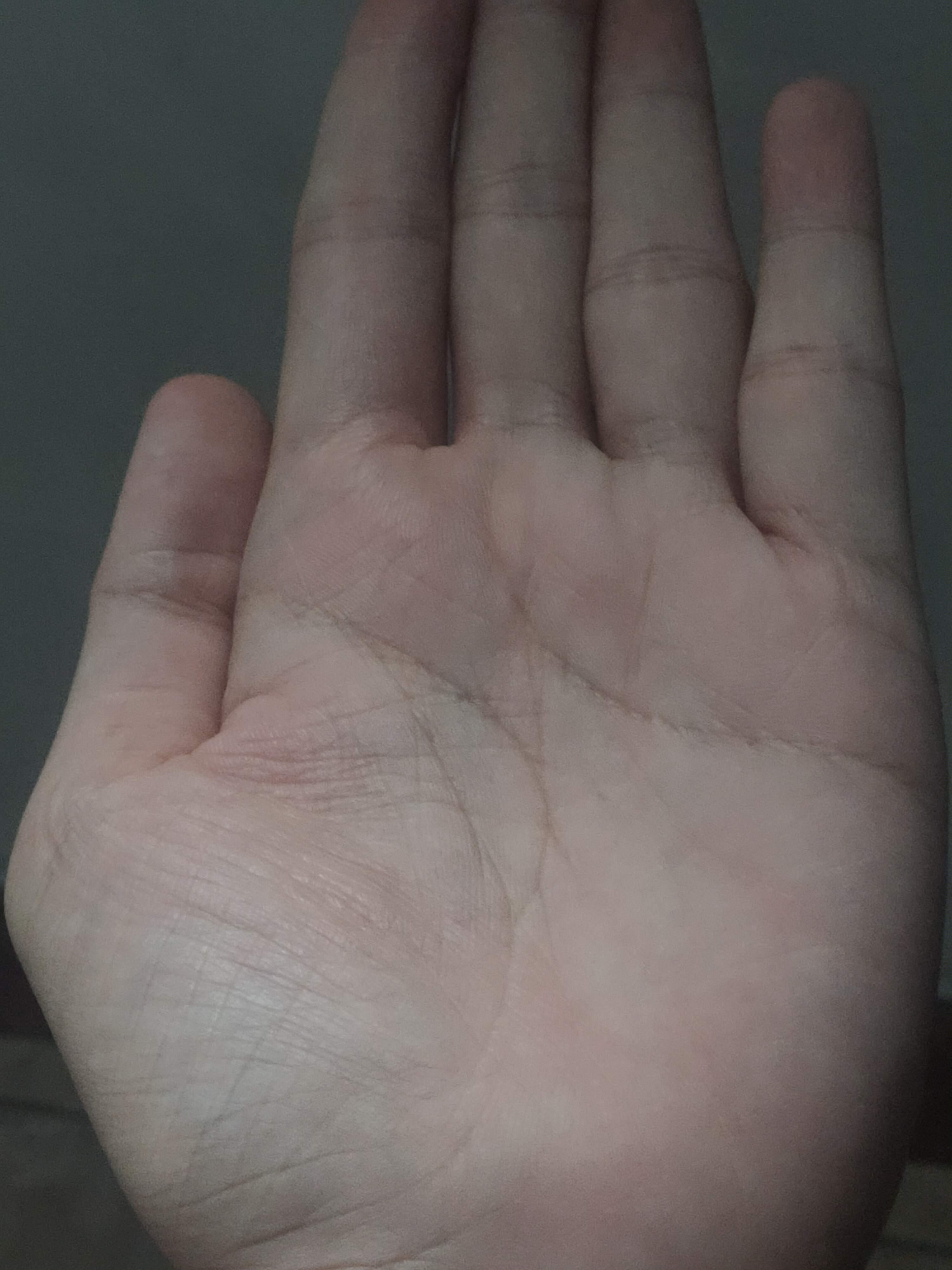 IMG20250909142525.jpg