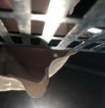 IMG_8713.jpeg
