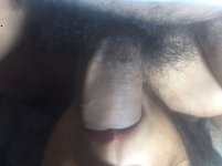 IMG_7223.jpeg
