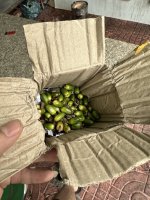 IMG_2999.jpeg