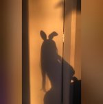 IMG_5118.jpeg