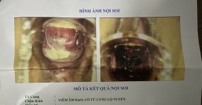 IMG_0237.jpeg