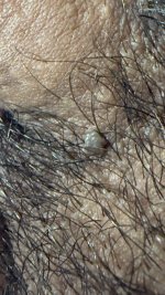 IMG_1554.jpeg