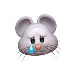 1741980562715.png