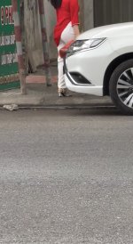 IMG_2977.jpeg