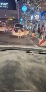 IMG_1091.jpeg