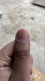 IMG_0464.jpeg