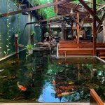 Cac-quan-cafe-ca-Koi-Sai-Gon-hut-khach-thu-gian-nhat.jpg