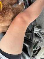 IMG_9288.jpeg