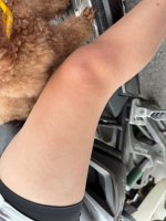 IMG_9287.jpeg