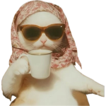 1745461539685.png