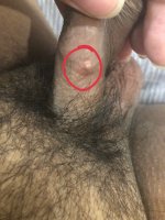 IMG_0732.jpeg