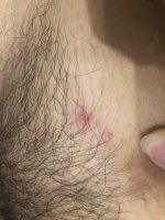 IMG_0734.jpeg