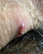 IMG_5713.jpeg