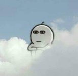 IMG_3564.jpeg