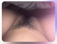 IMG_1127_Original.jpeg