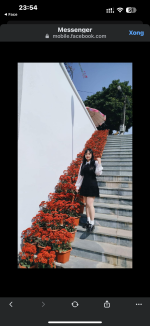 IMG_1140.png