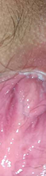 IMG_20241012_132207.jpg