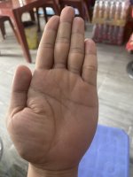 IMG_7043.jpeg