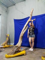 IMG_20250618_193430.jpg
