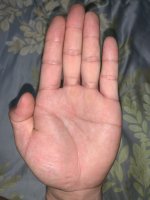IMG_1587.jpeg