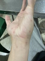 IMG_8564.jpeg
