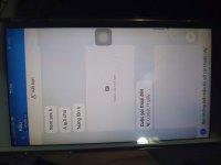 IMG_4984.jpeg