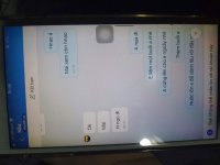 IMG_4987.jpeg
