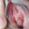 tienle1234