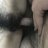 beotoet113